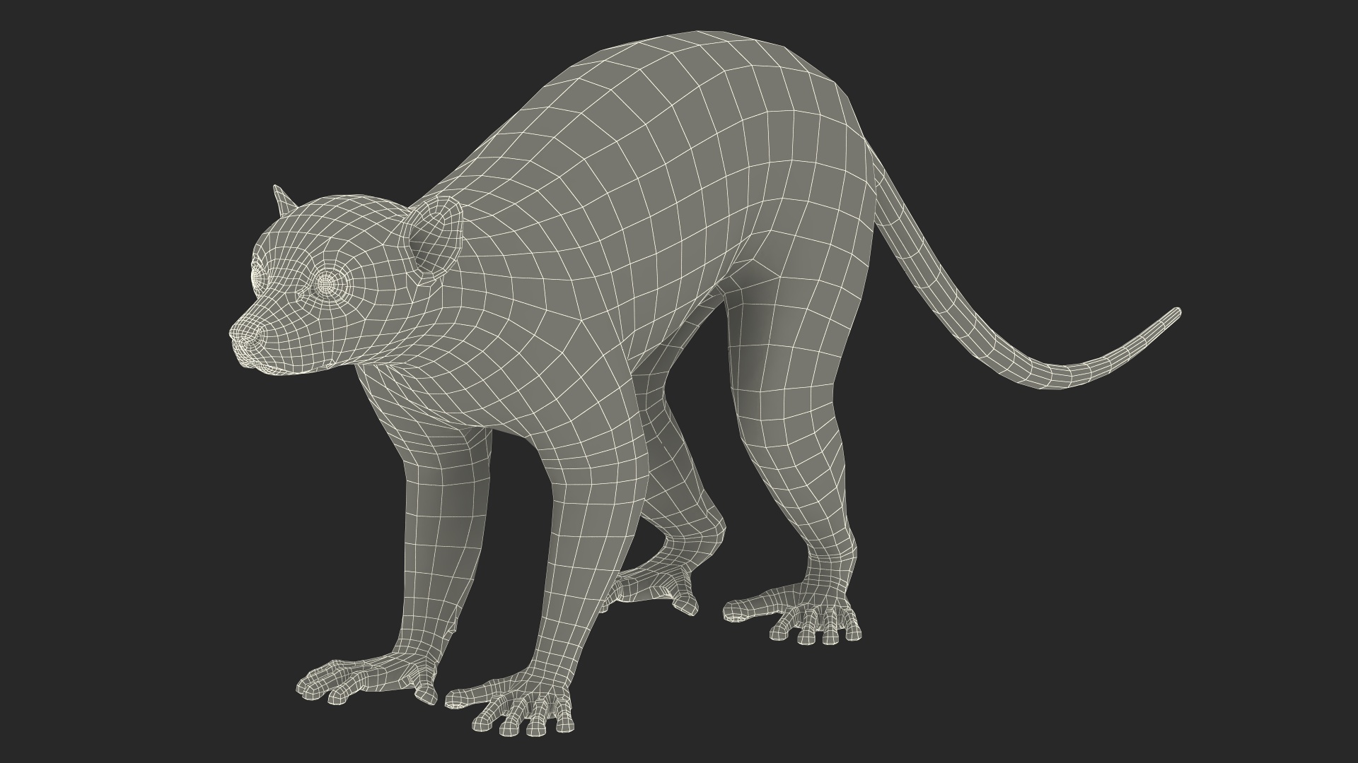 3D Lemur Rigged for Maya