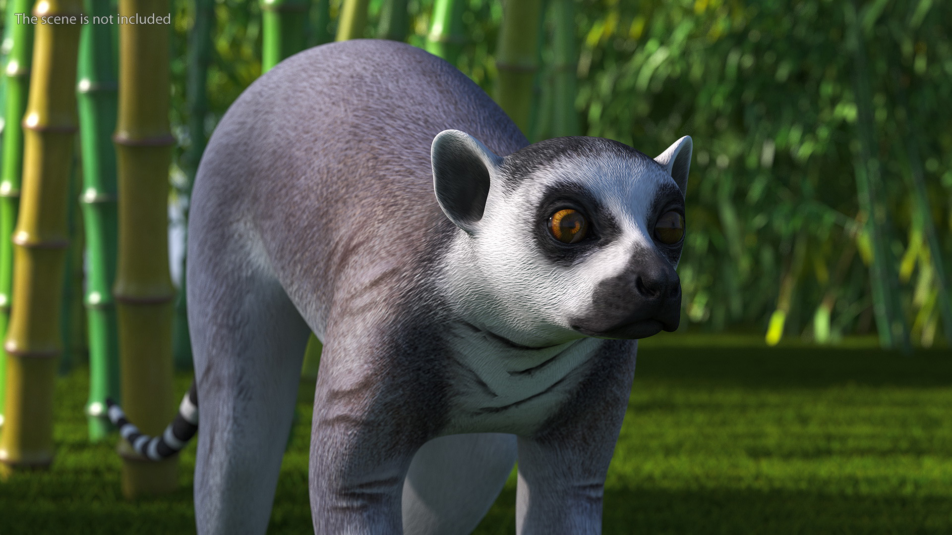 3D Lemur Rigged for Maya