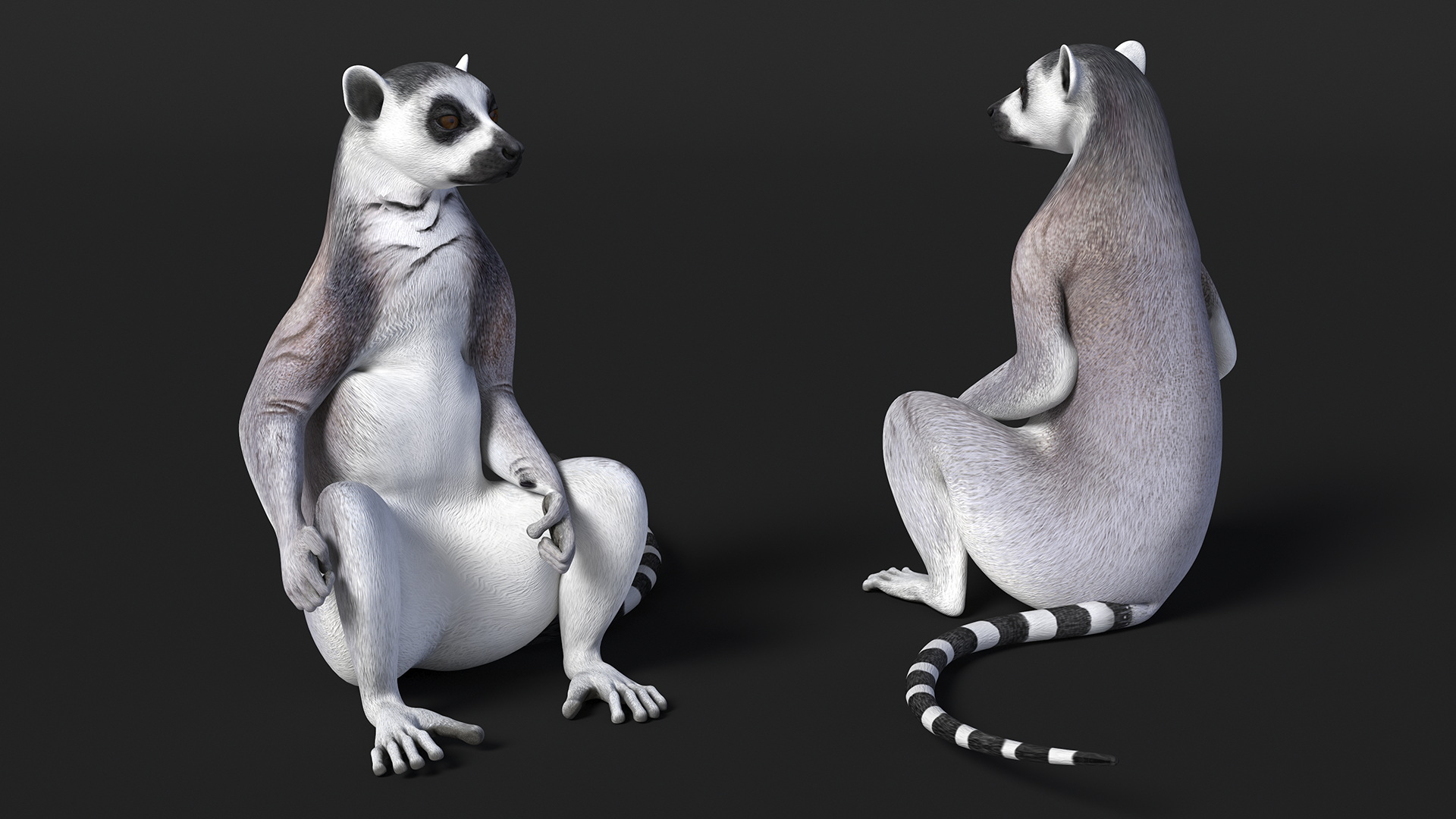 3D Lemur Rigged for Maya