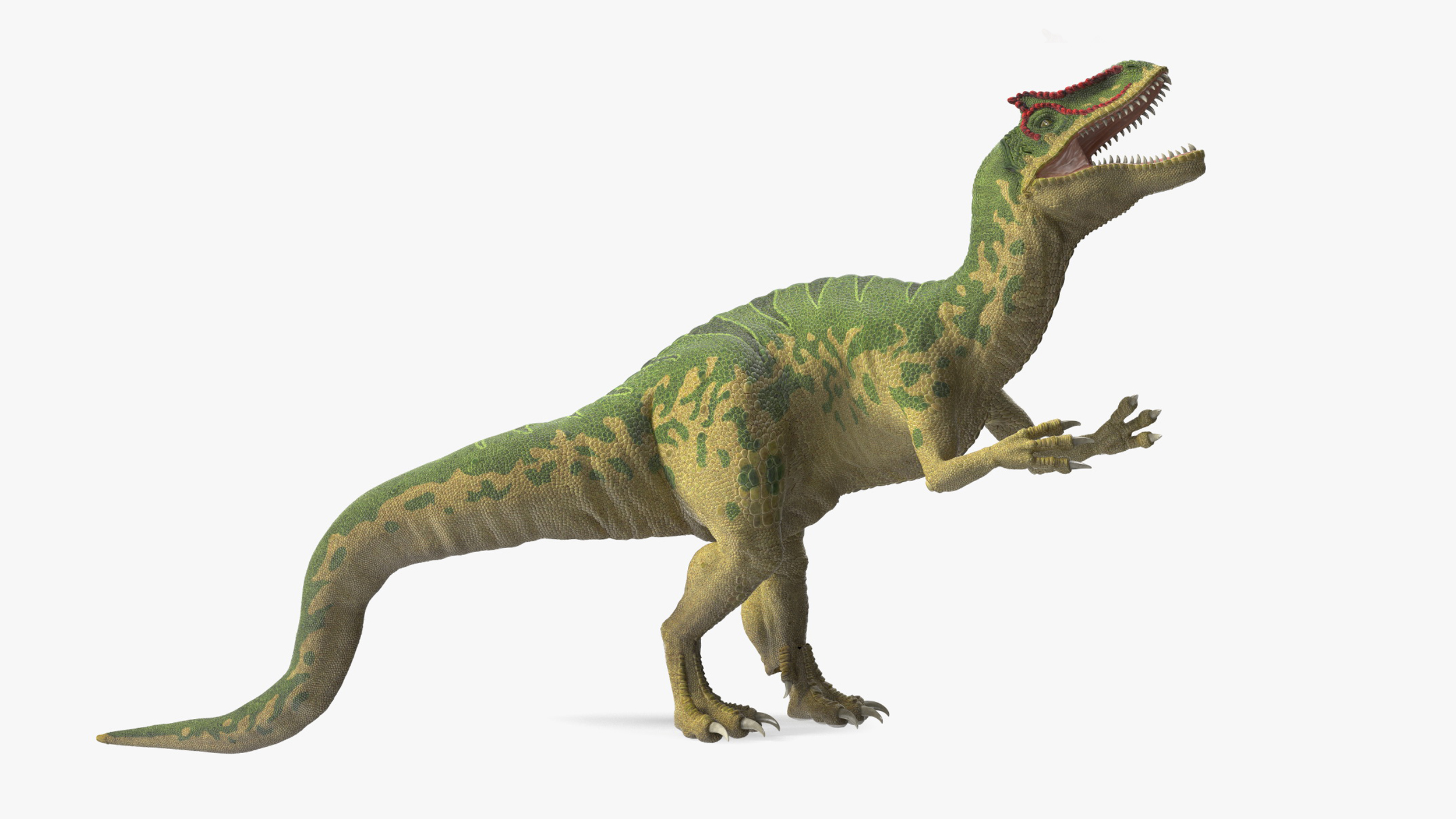 3D Allosaurus Green Coloring Rigged for Maya