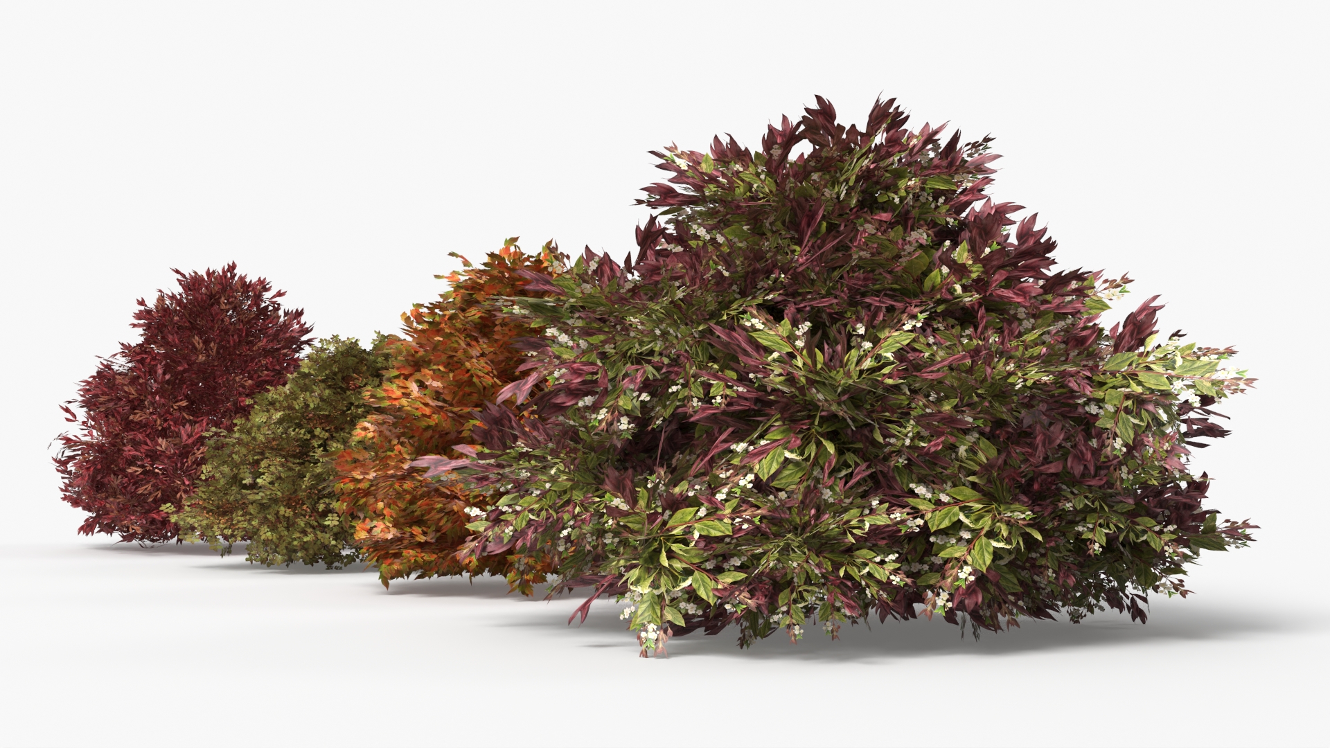 Low Poly Ornamental Landscape Shrubs Set Multicolor - view 6