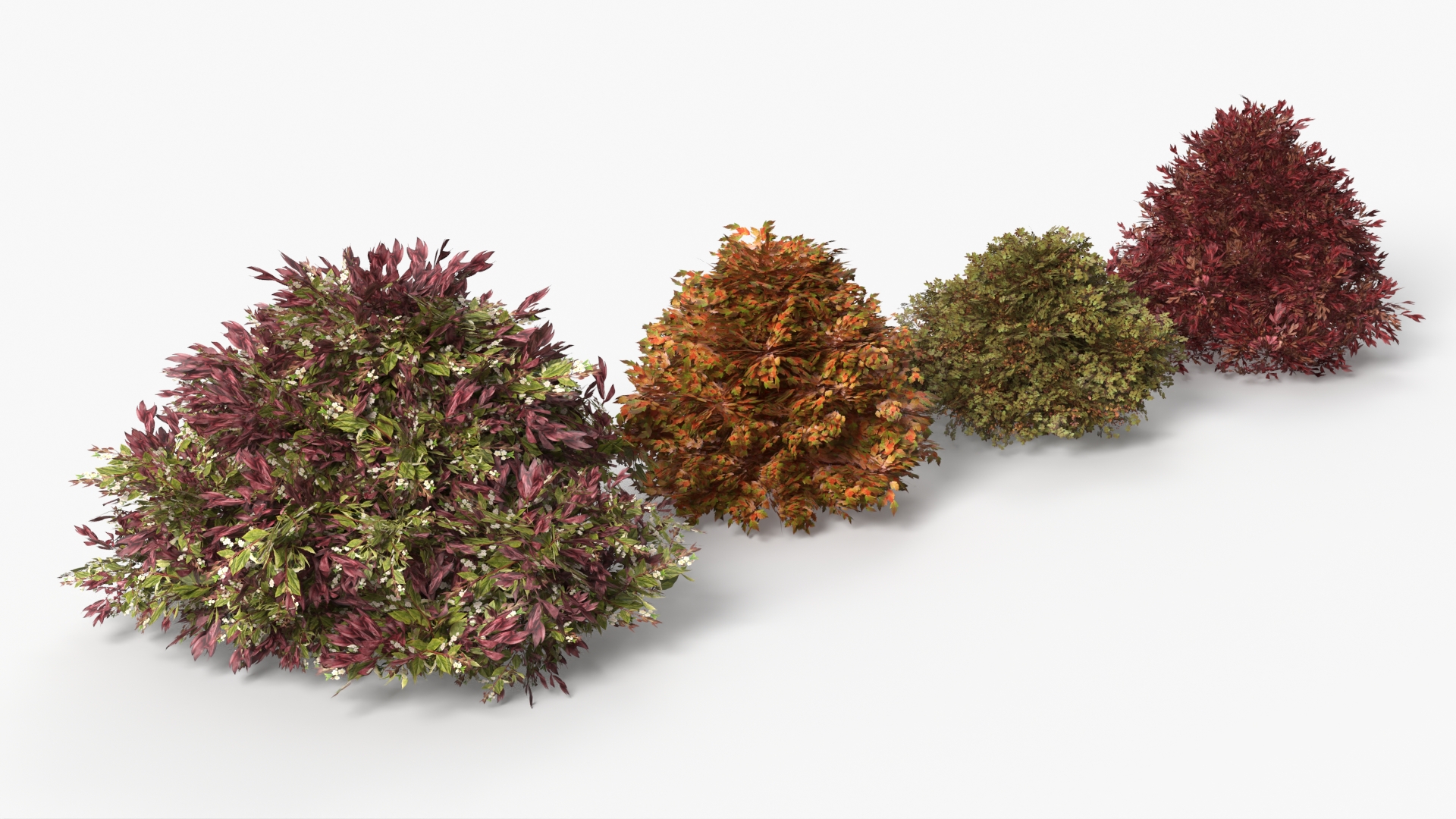 Low Poly Ornamental Landscape Shrubs Set Multicolor - view 2