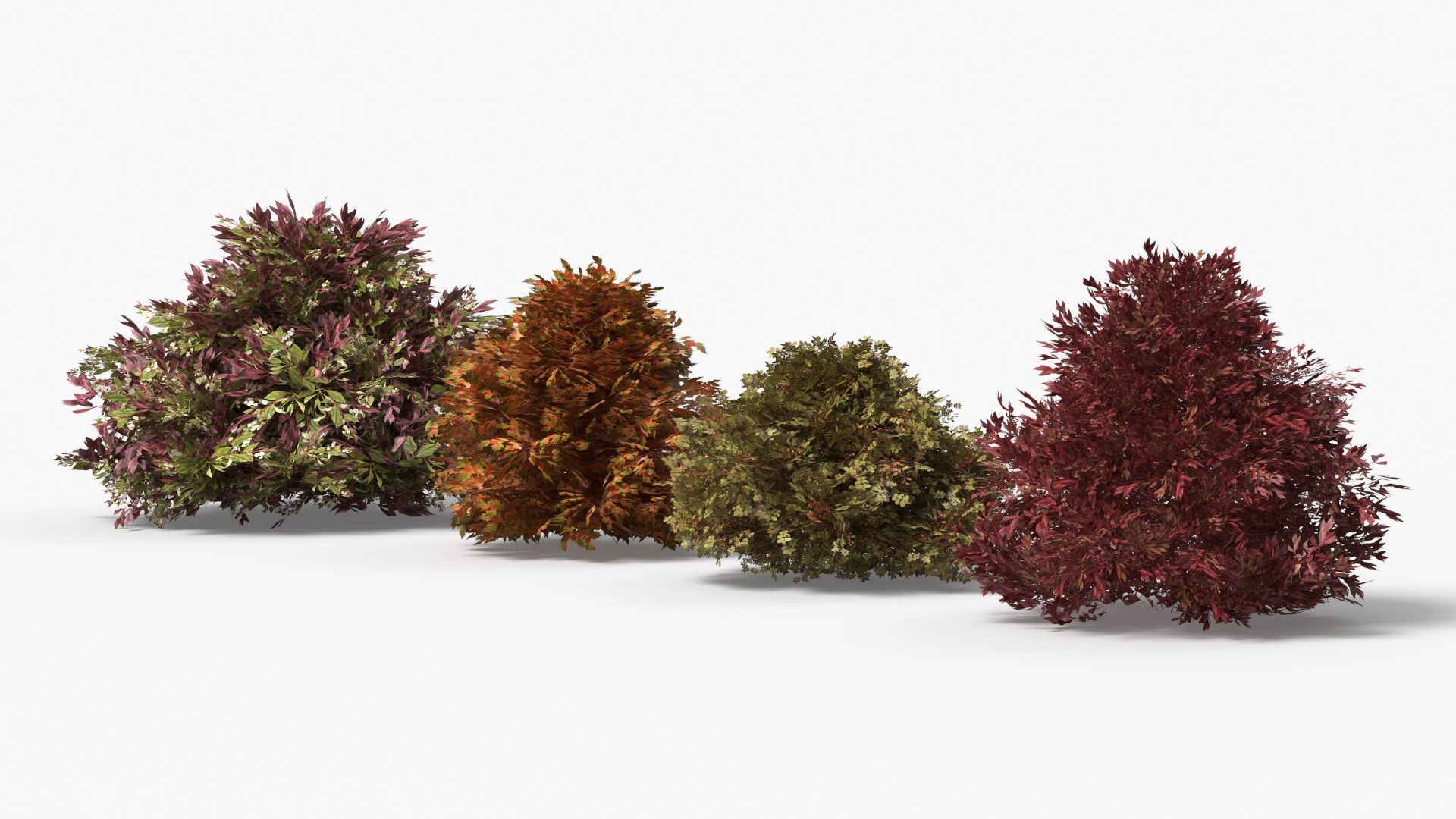 Low Poly Ornamental Landscape Shrubs Set Multicolor - view 4