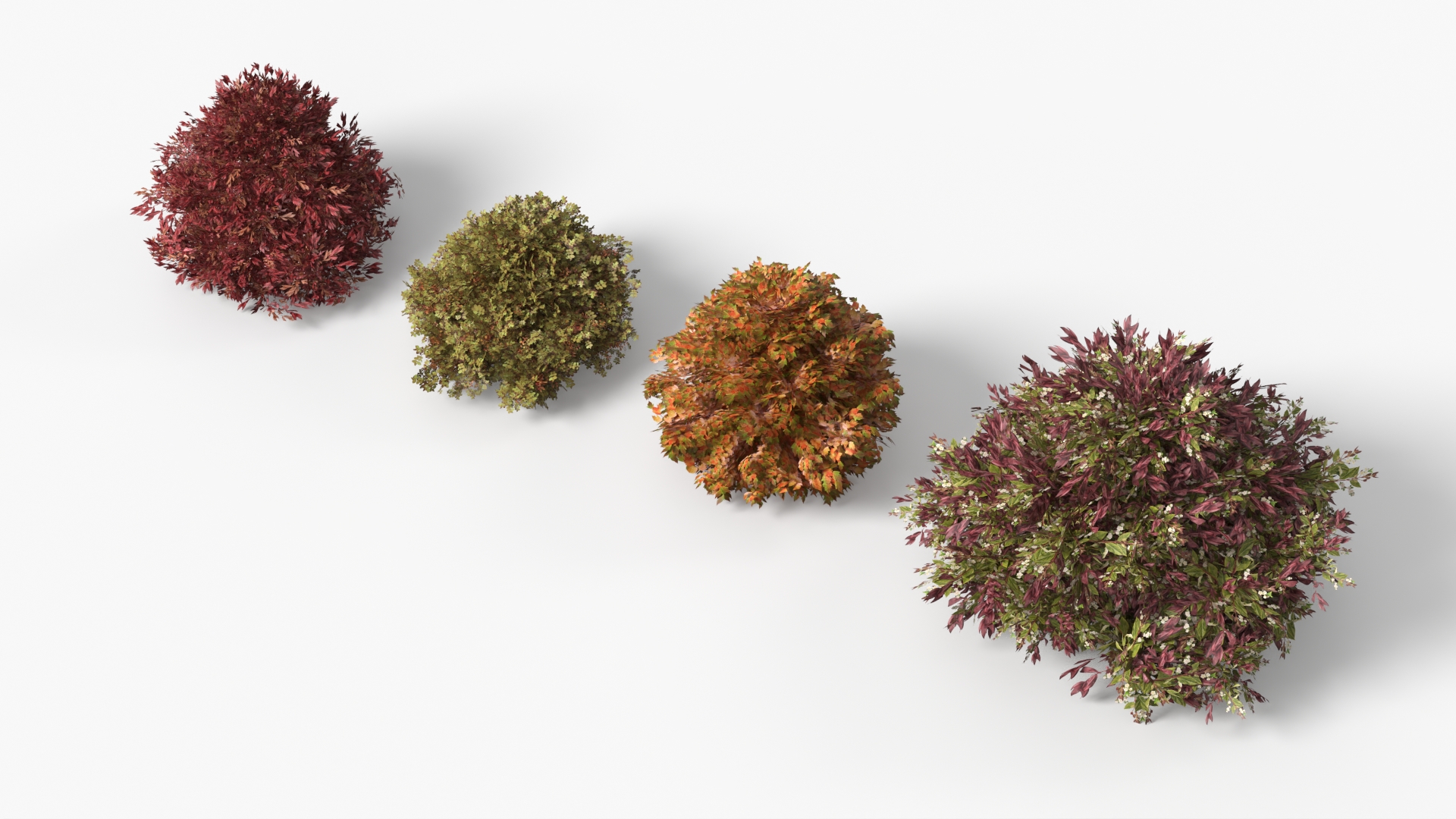 Low Poly Ornamental Landscape Shrubs Set Multicolor - view 5