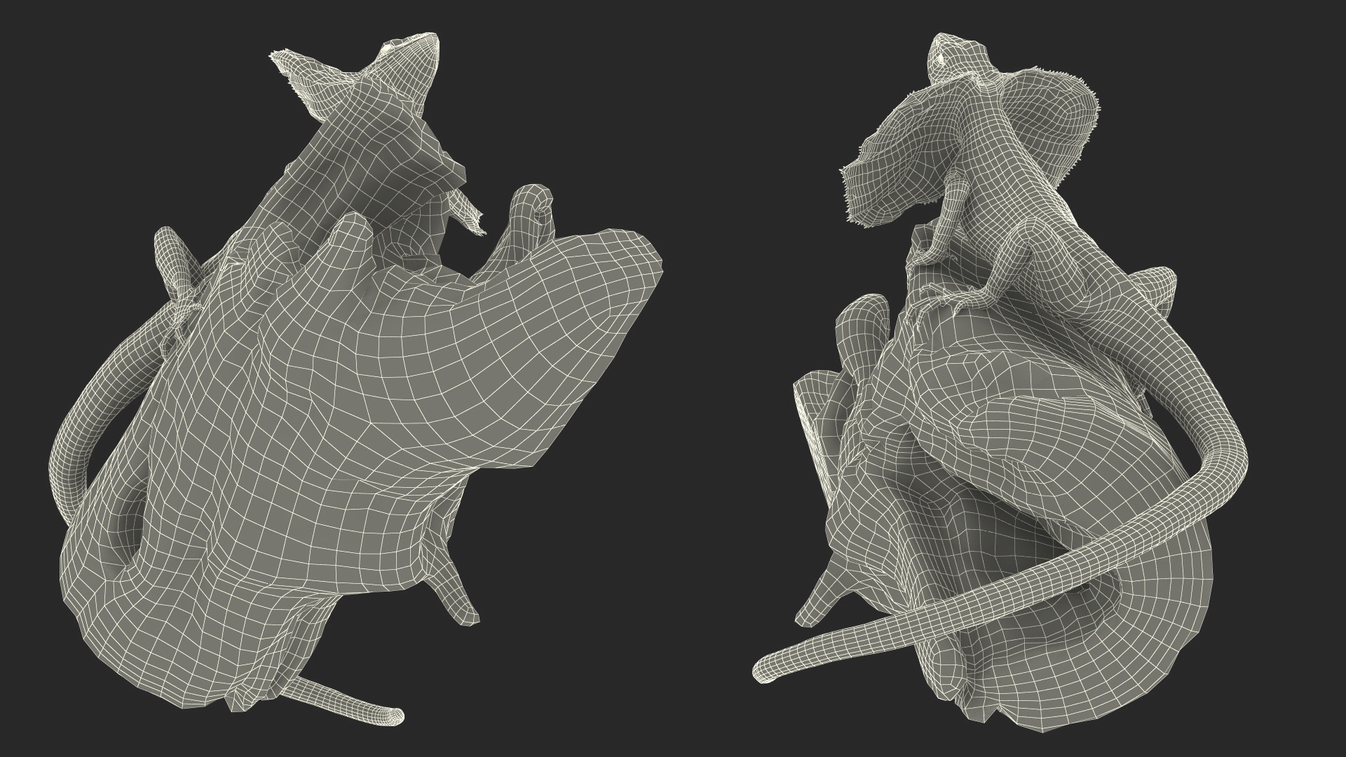 Frilled Lizard on Snag 3D