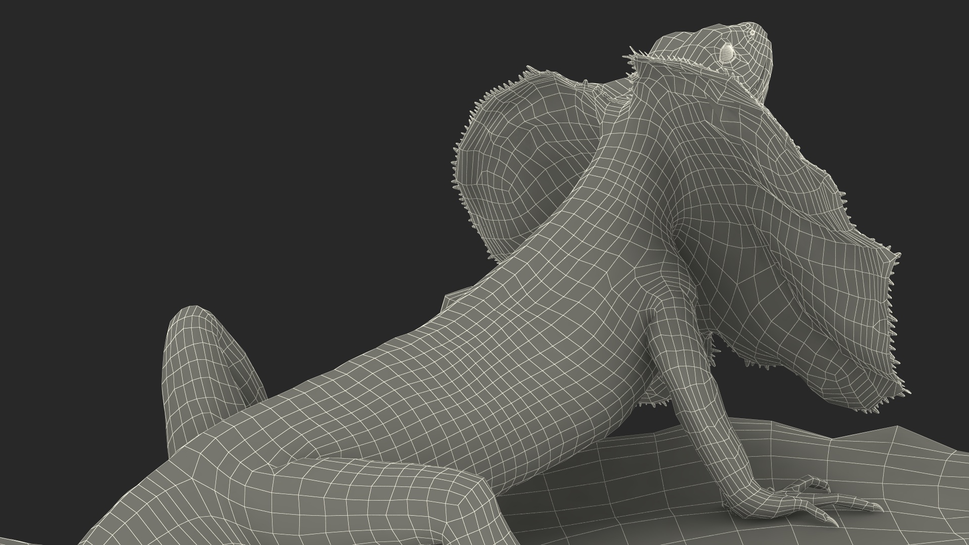 Frilled Lizard on Snag 3D