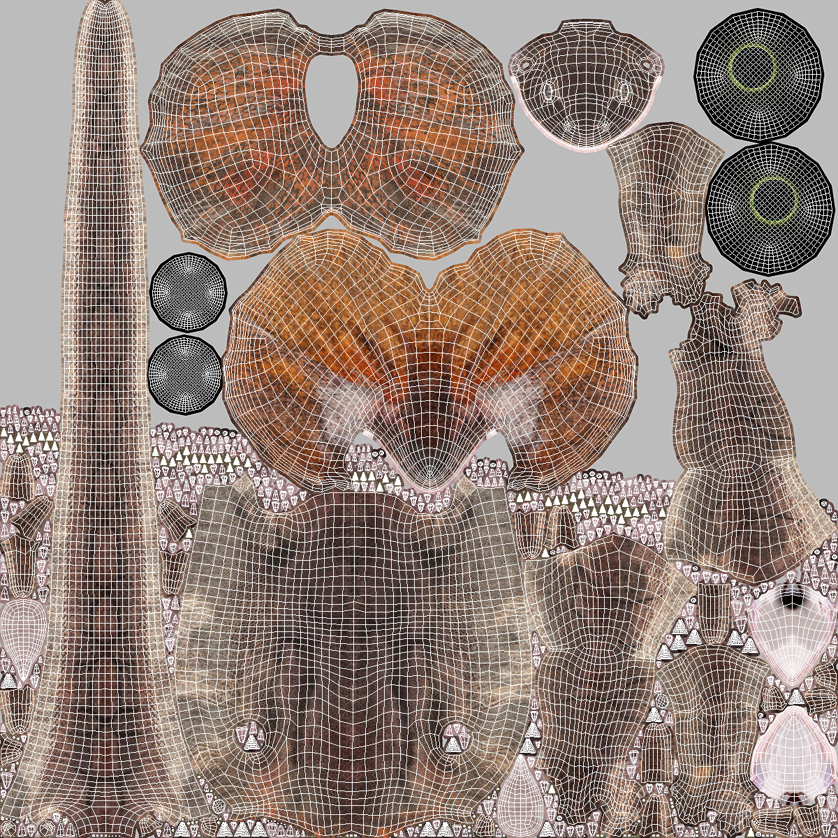 Frilled Lizard on Snag 3D