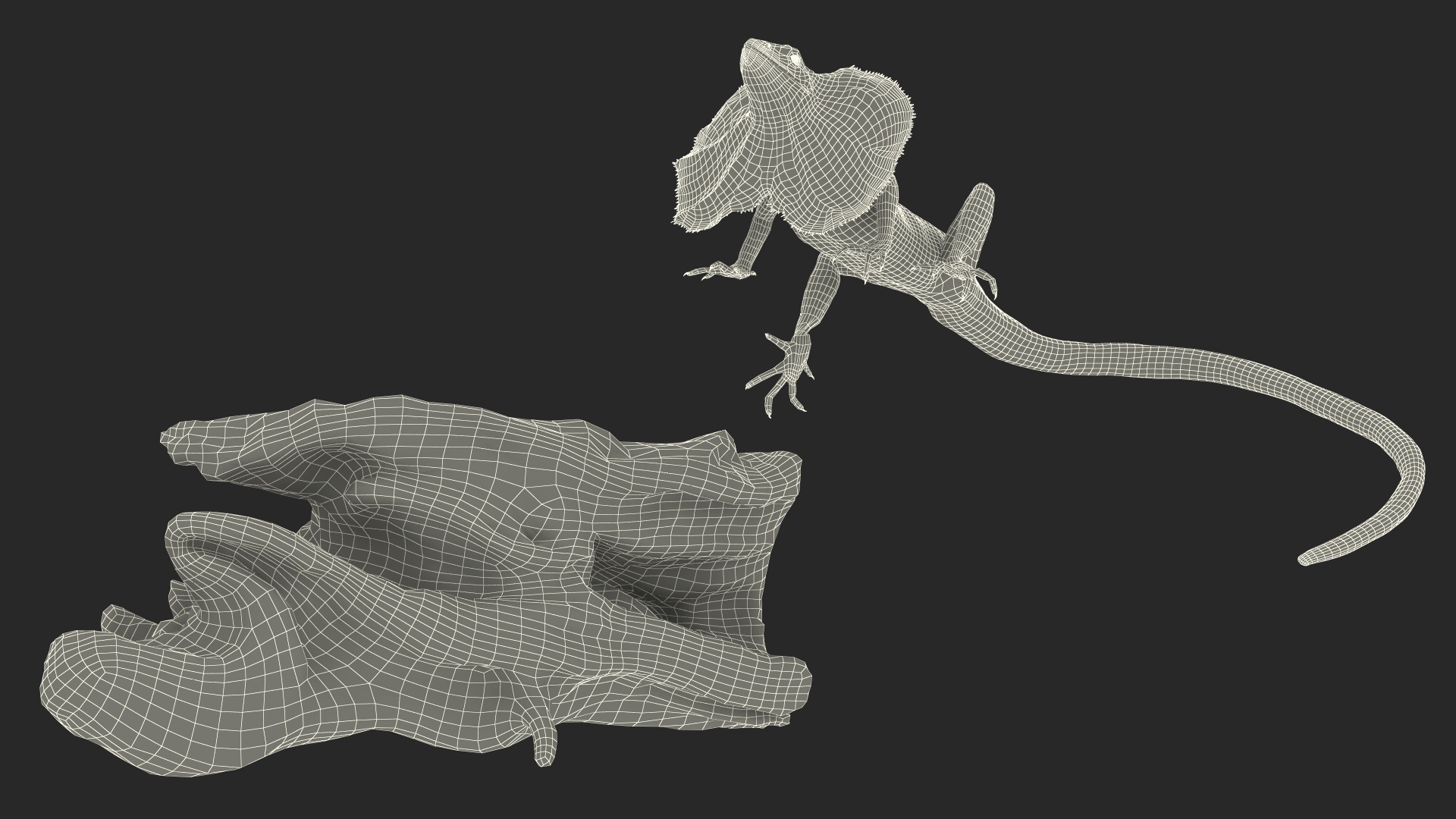 Frilled Lizard on Snag 3D