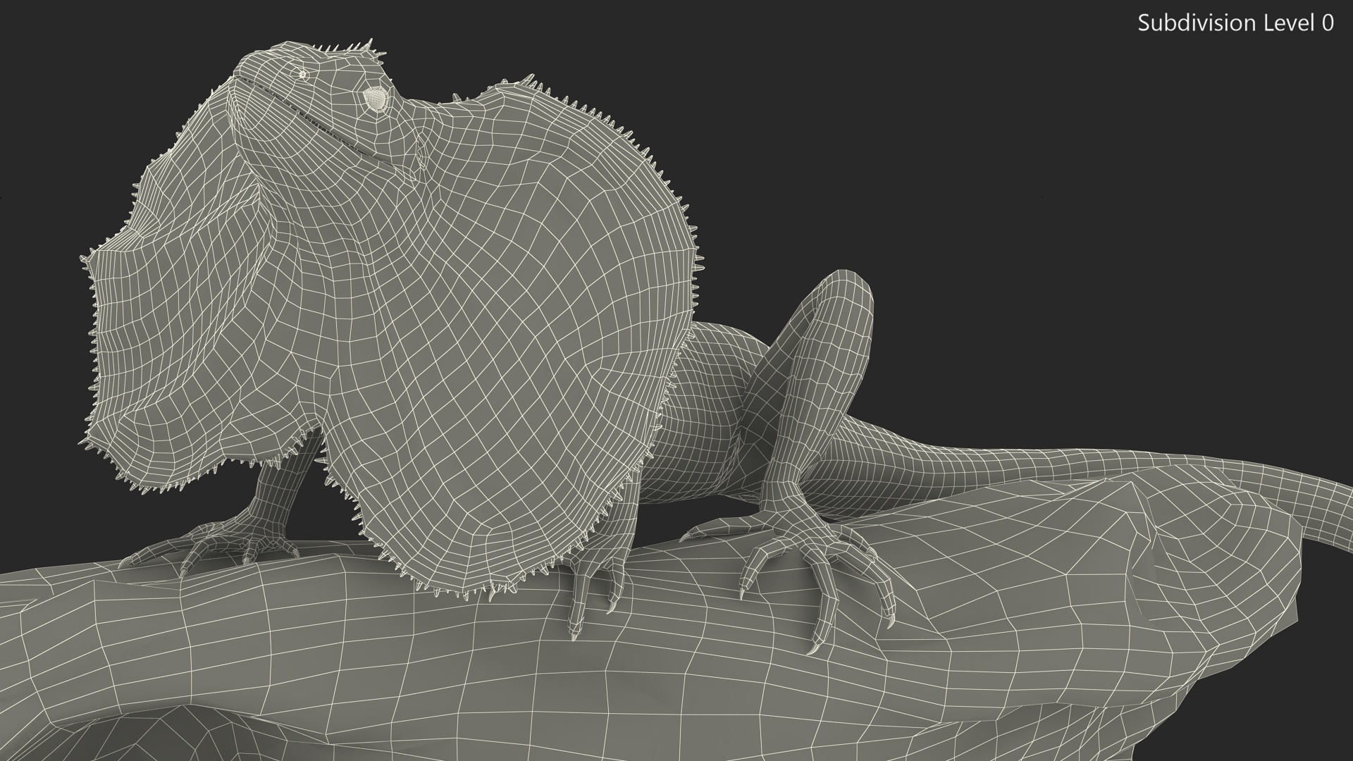 Frilled Lizard on Snag 3D