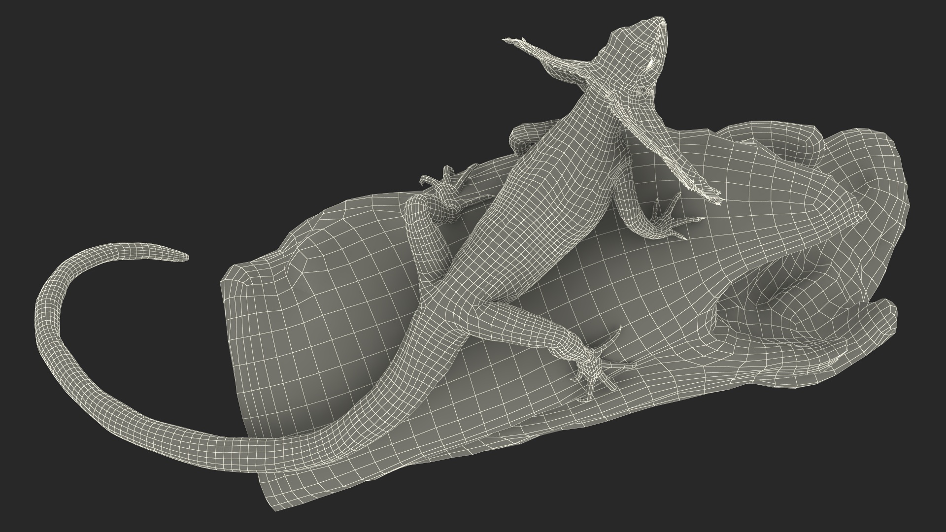Frilled Lizard on Snag 3D