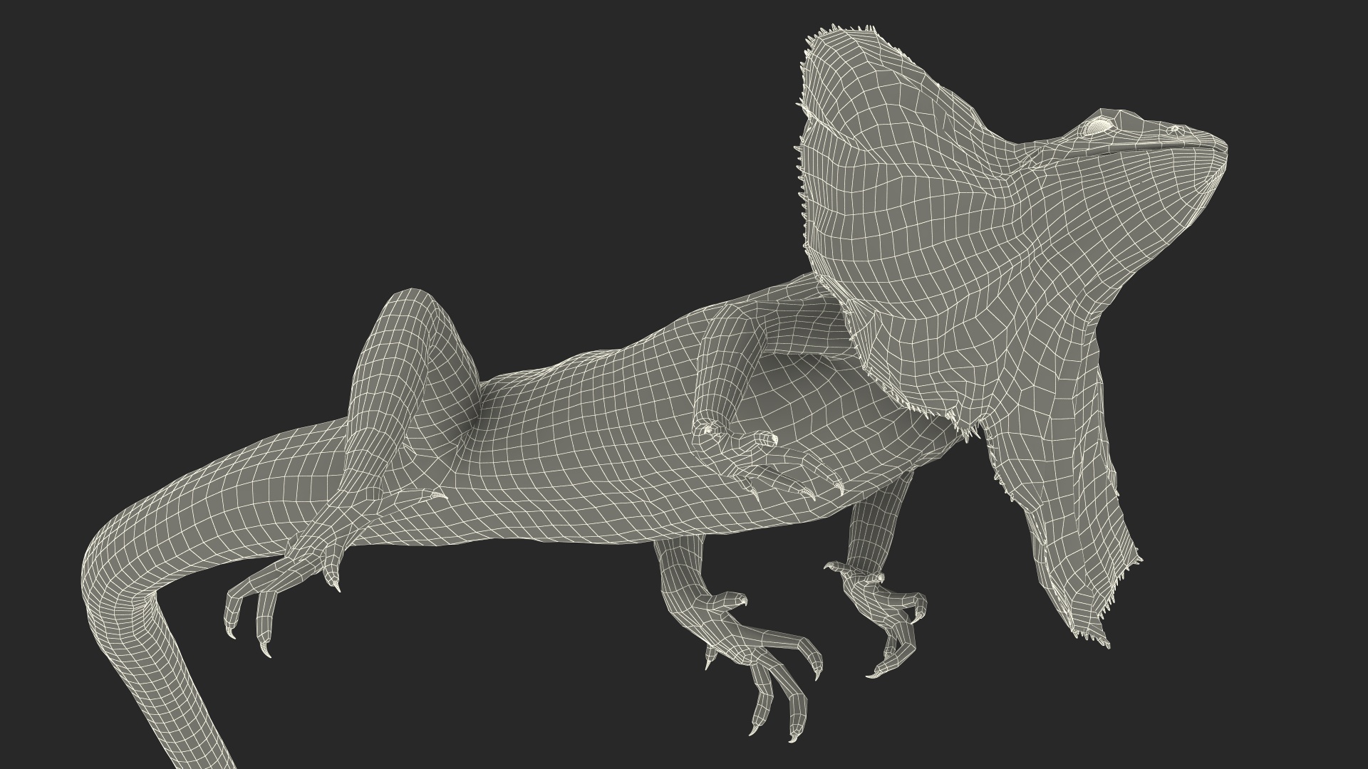 Frilled Lizard on Snag 3D