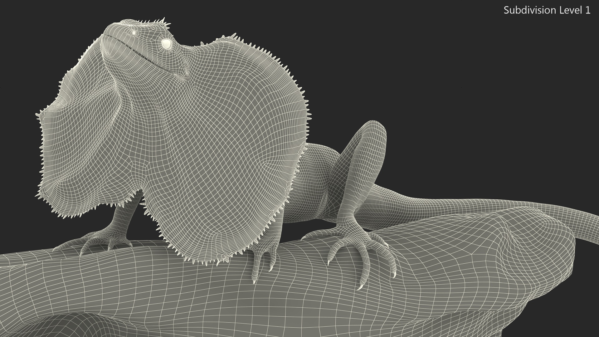 Frilled Lizard on Snag 3D