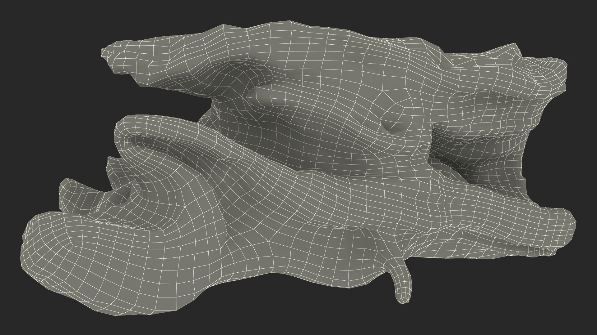 Frilled Lizard on Snag 3D