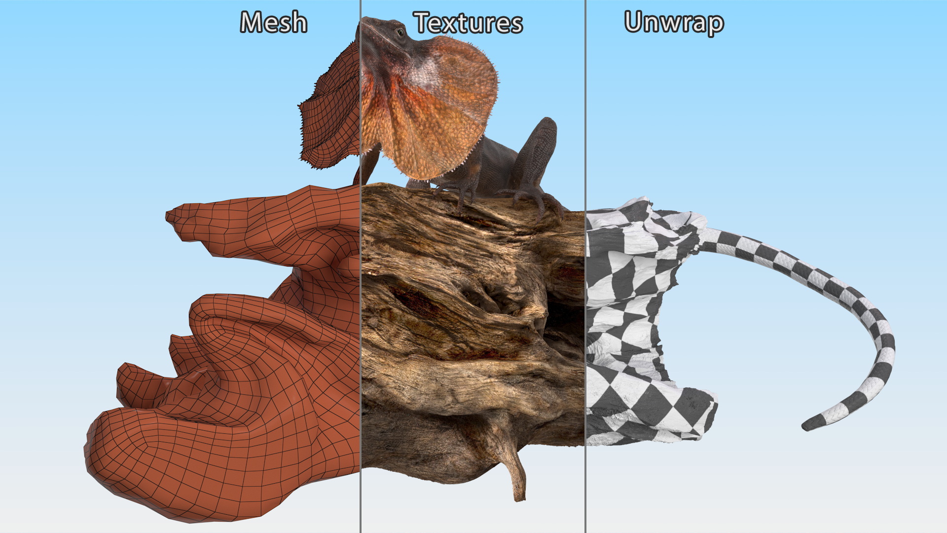 Frilled Lizard on Snag 3D