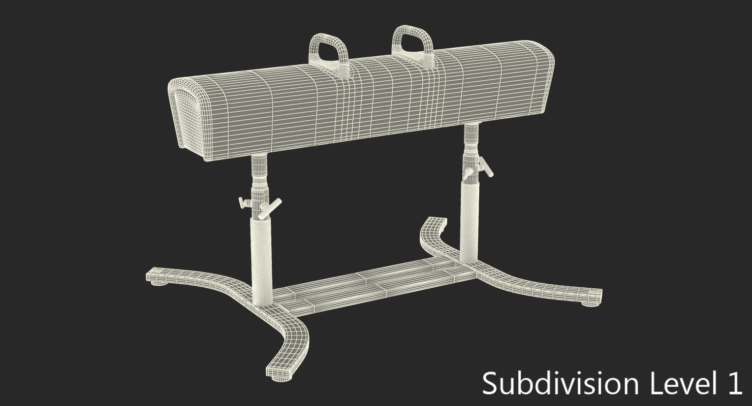 Elite Pommel Horse AAI 3D