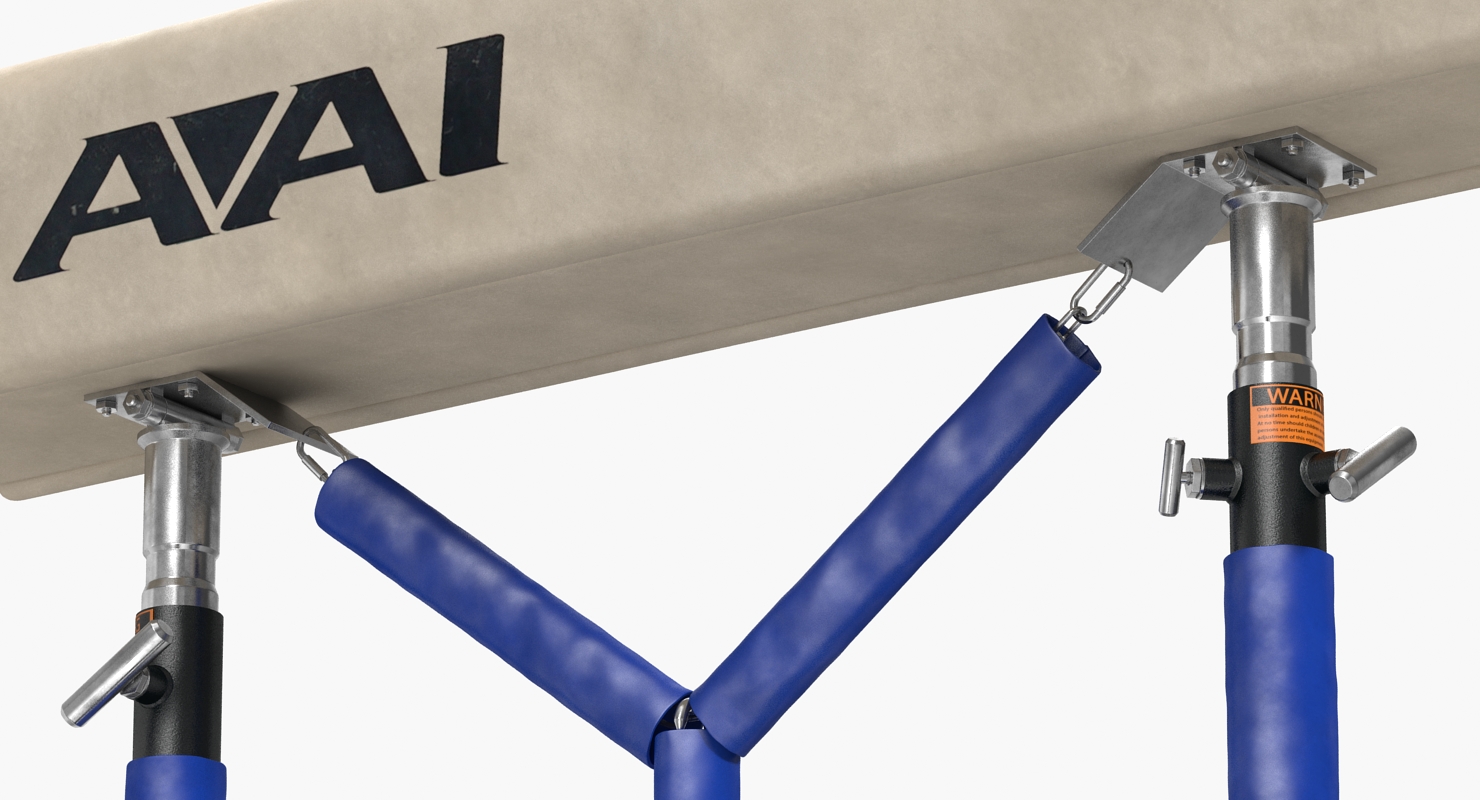 Elite Pommel Horse AAI 3D