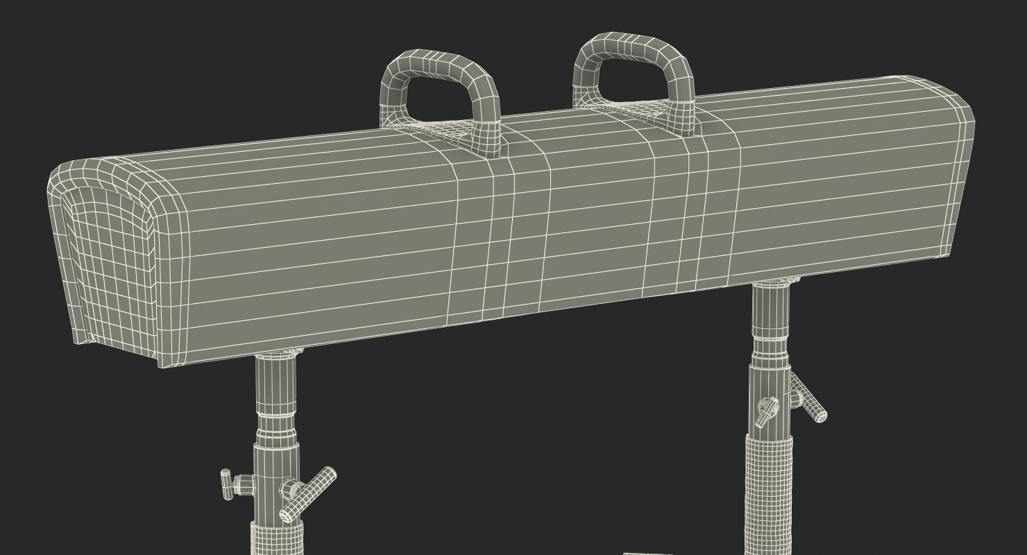Elite Pommel Horse AAI 3D