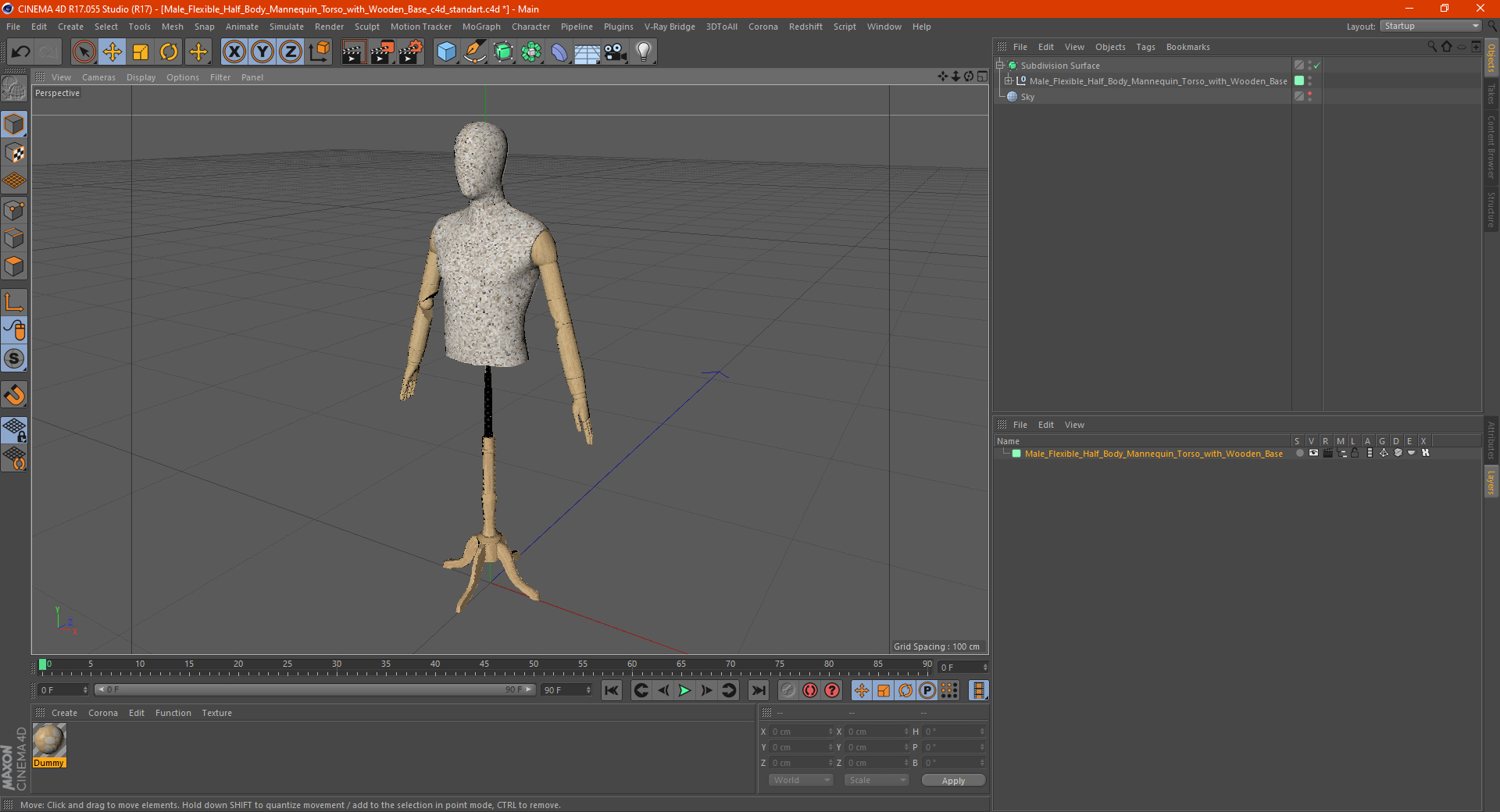 3D Male Flexible Half Body Mannequin Torso with Wooden Base