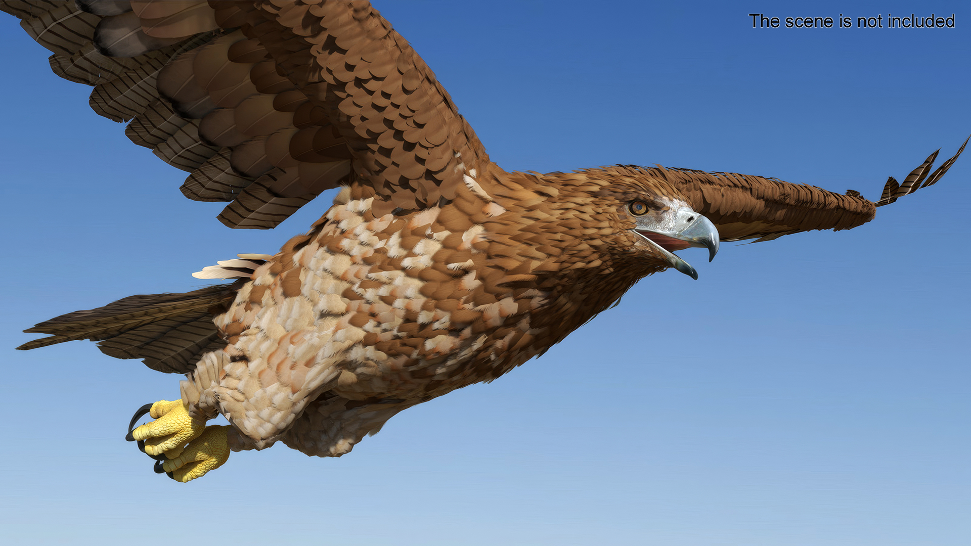 Flying Gurney Eagle 3D model