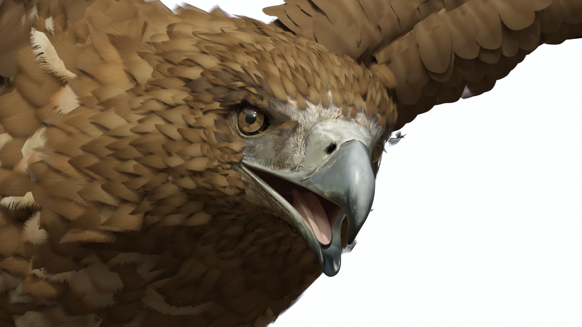 Flying Gurney Eagle 3D model