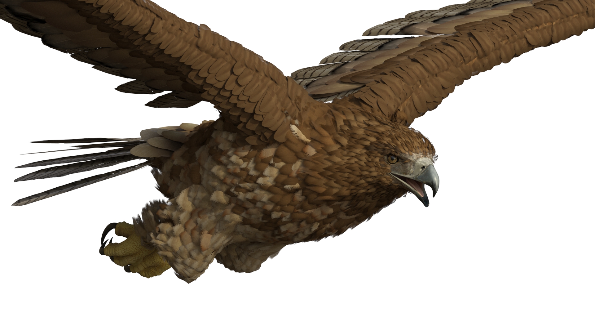 Flying Gurney Eagle 3D model