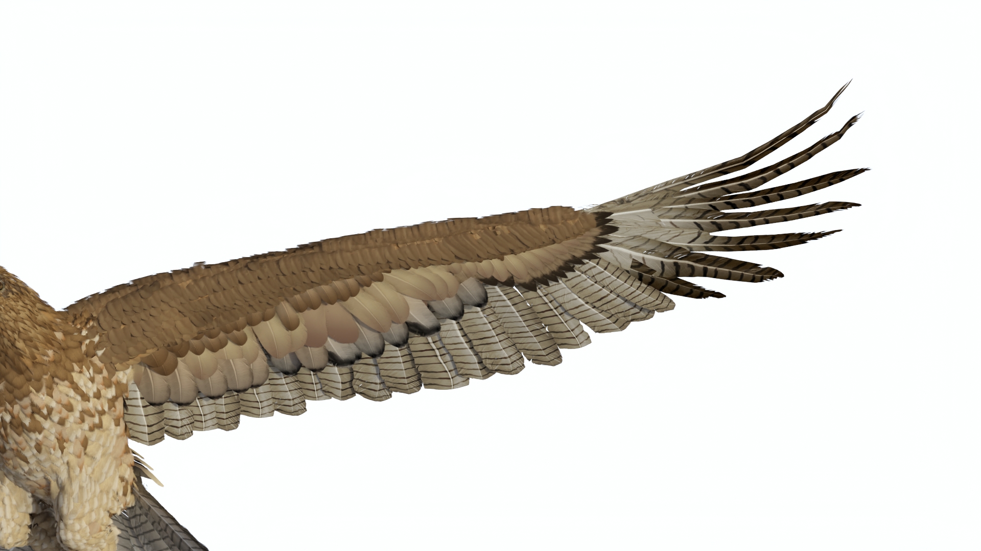 Flying Gurney Eagle 3D model