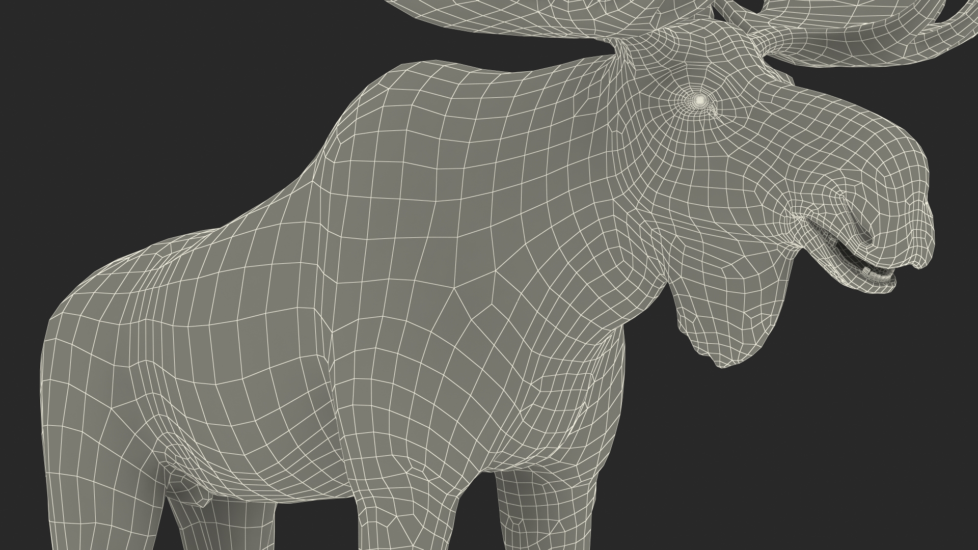 Moose No Fur 3D