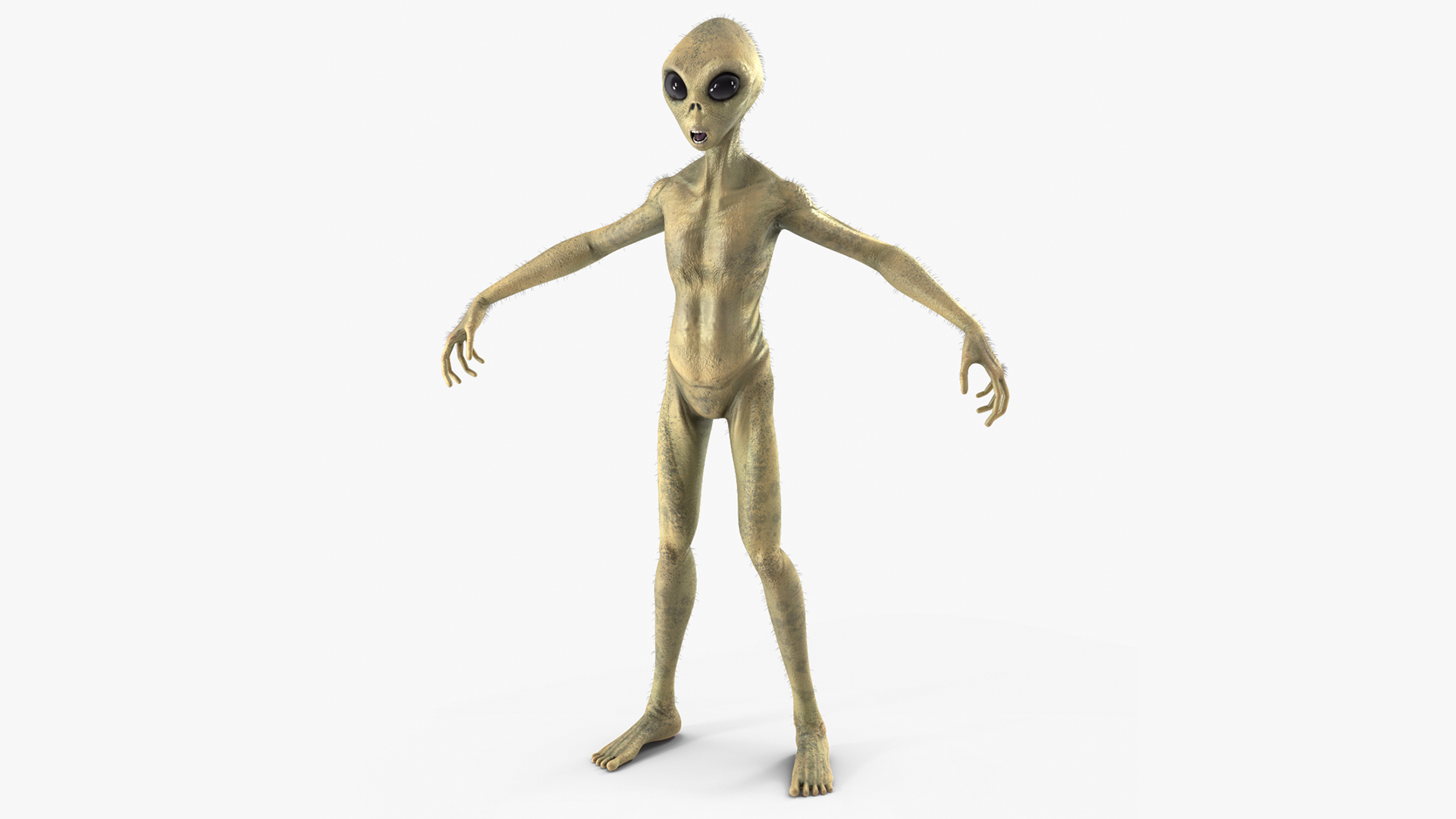 Humanoid Alien Creature Fur 3D