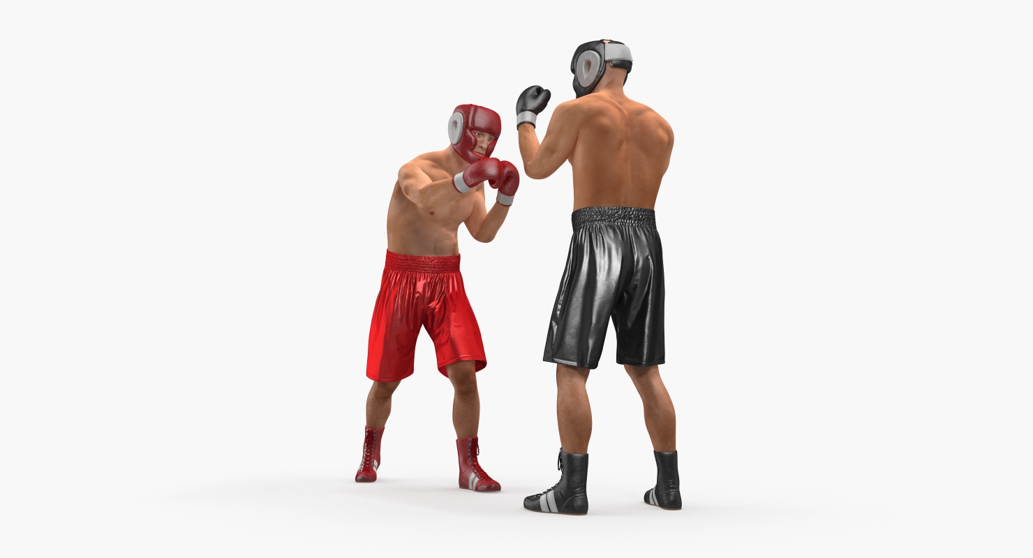 Two Boxers 2 3D