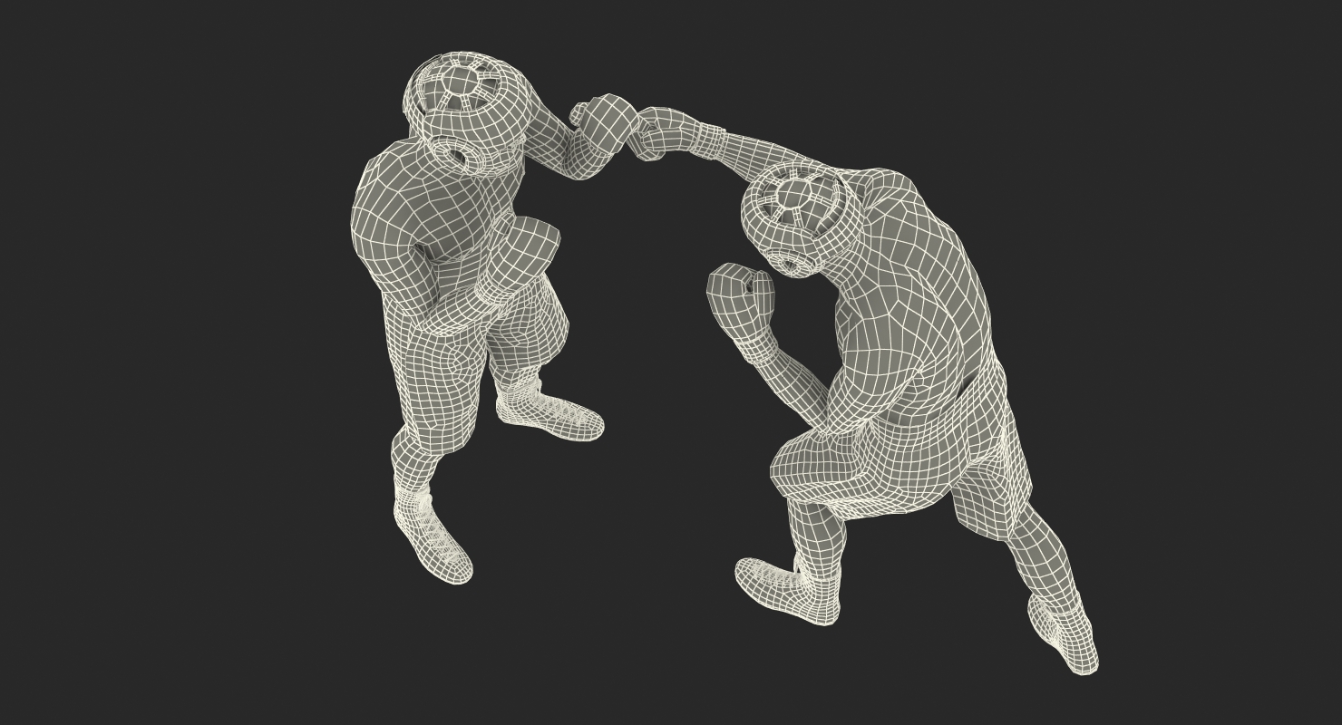 Two Boxers 2 3D
