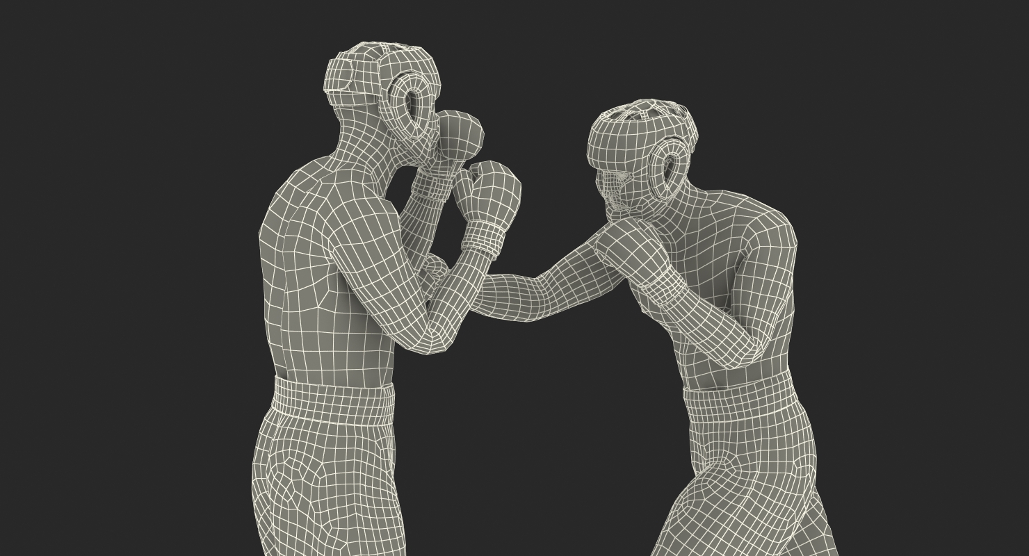 Two Boxers 2 3D