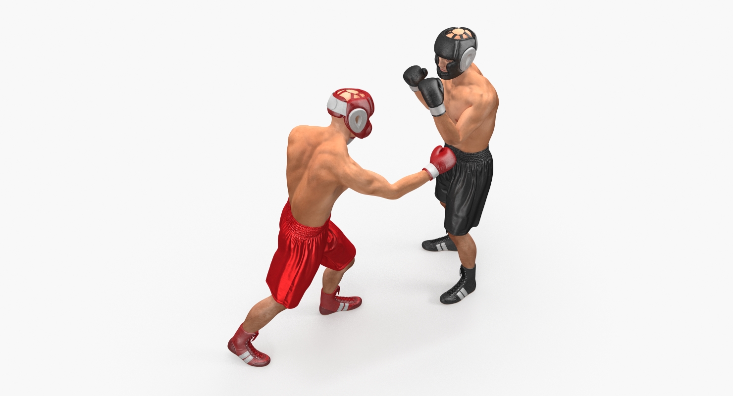 Two Boxers 2 3D