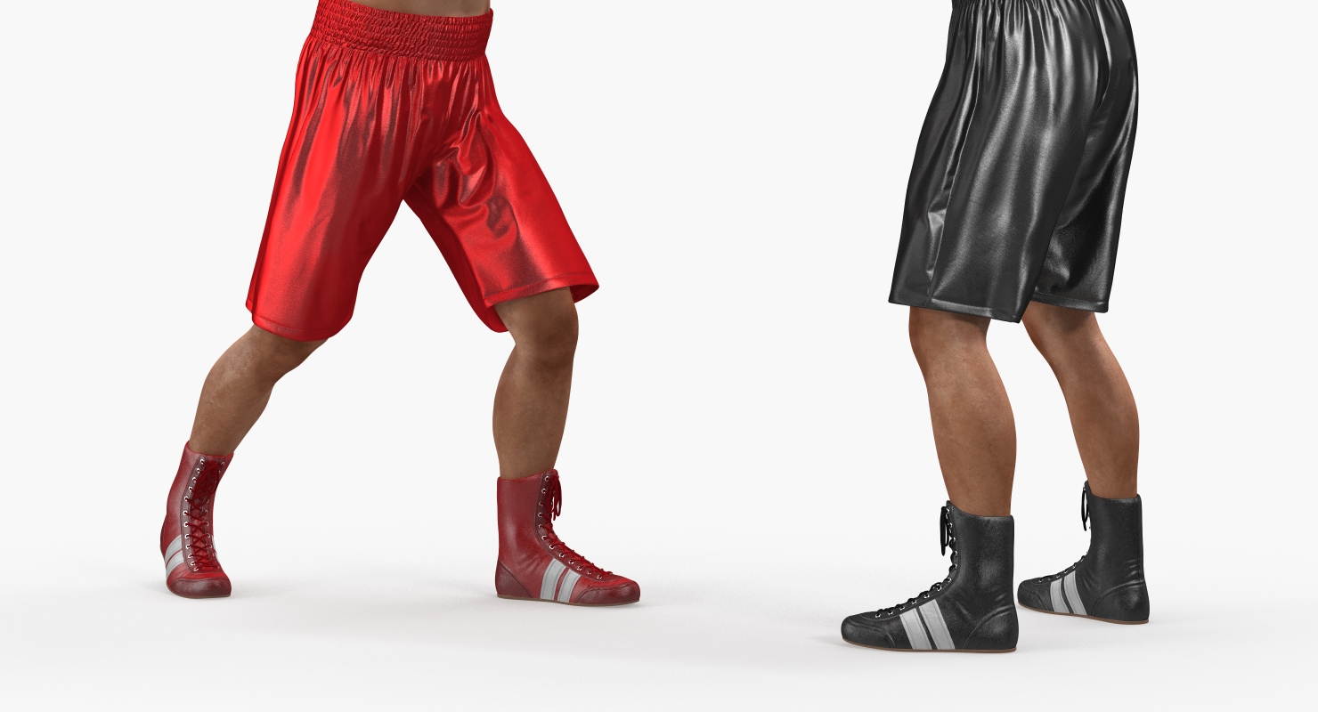 Two Boxers 2 3D
