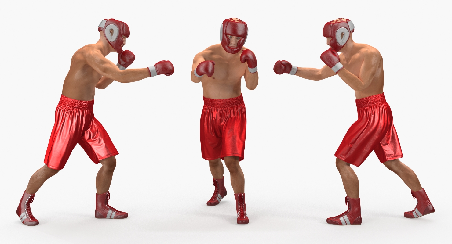 Two Boxers 2 3D