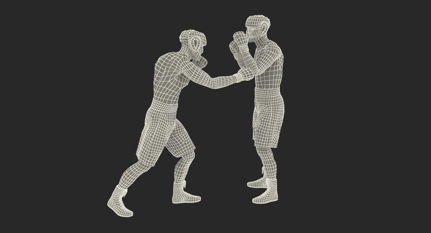 Two Boxers 2 3D