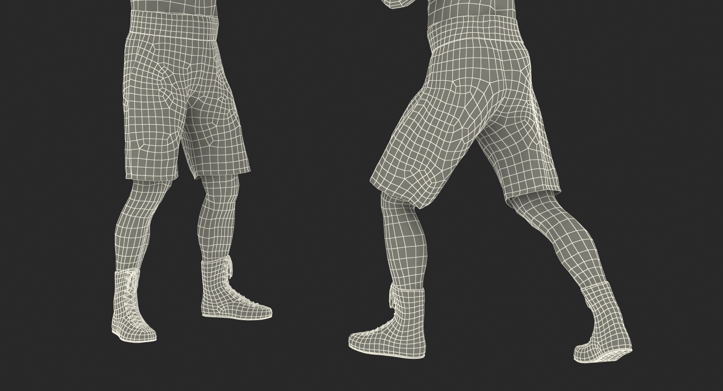 Two Boxers 2 3D