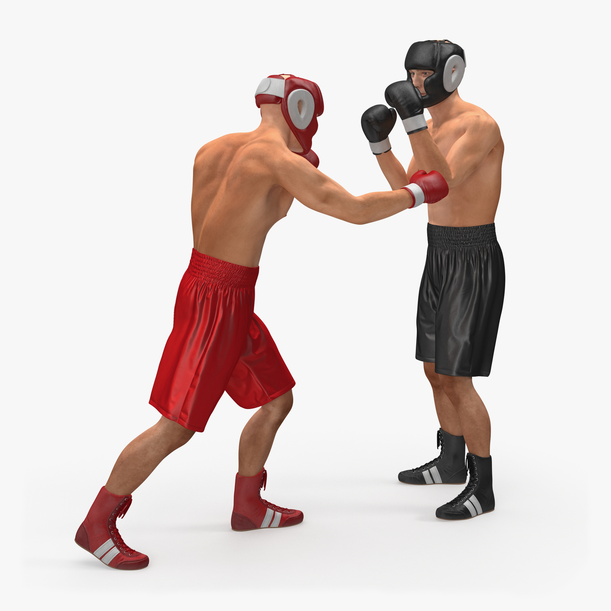 Two Boxers 2 3D