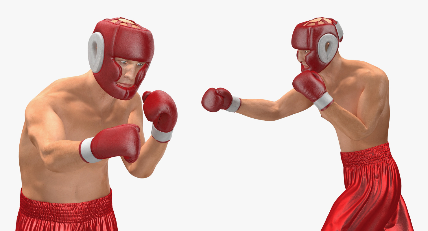 Two Boxers 2 3D