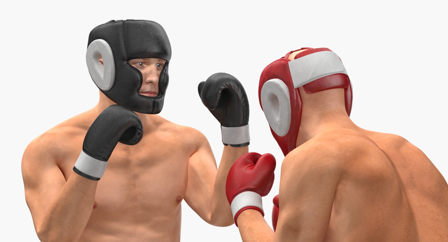 Two Boxers 2 3D