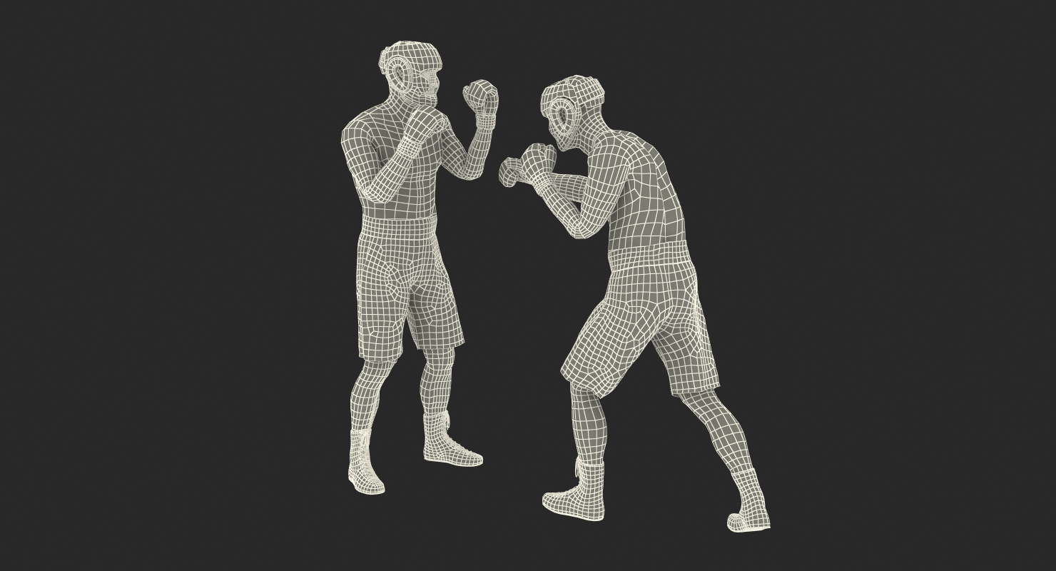 Two Boxers 2 3D