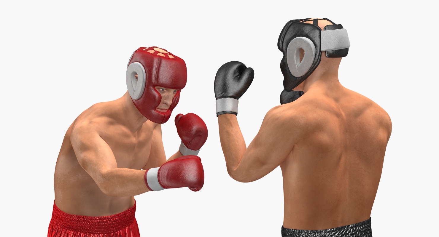 Two Boxers 2 3D
