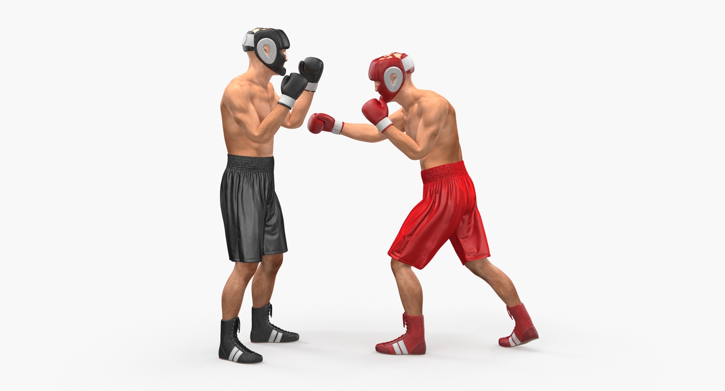 Two Boxers 2 3D