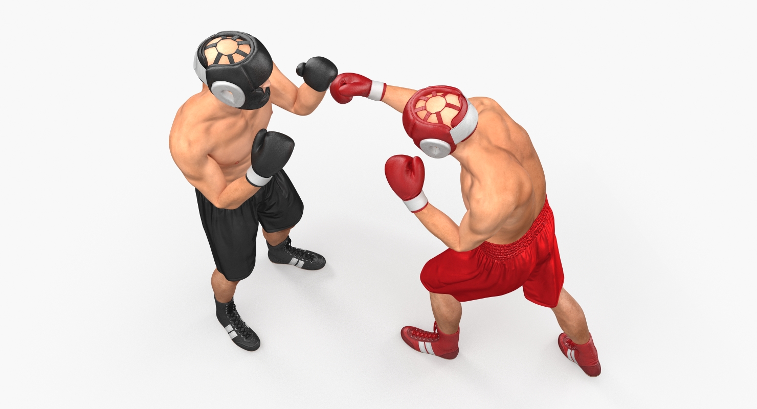 Two Boxers 2 3D