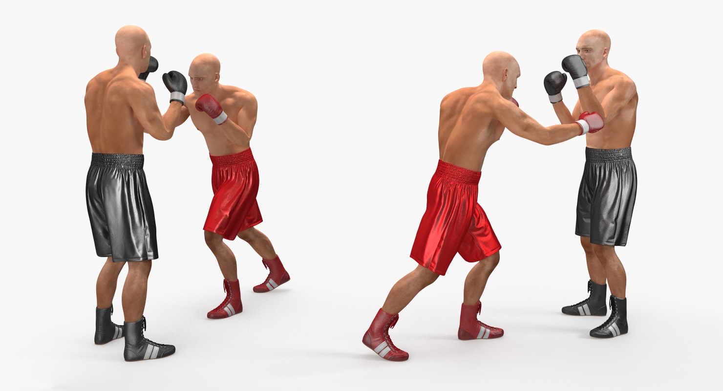 Two Boxers 2 3D