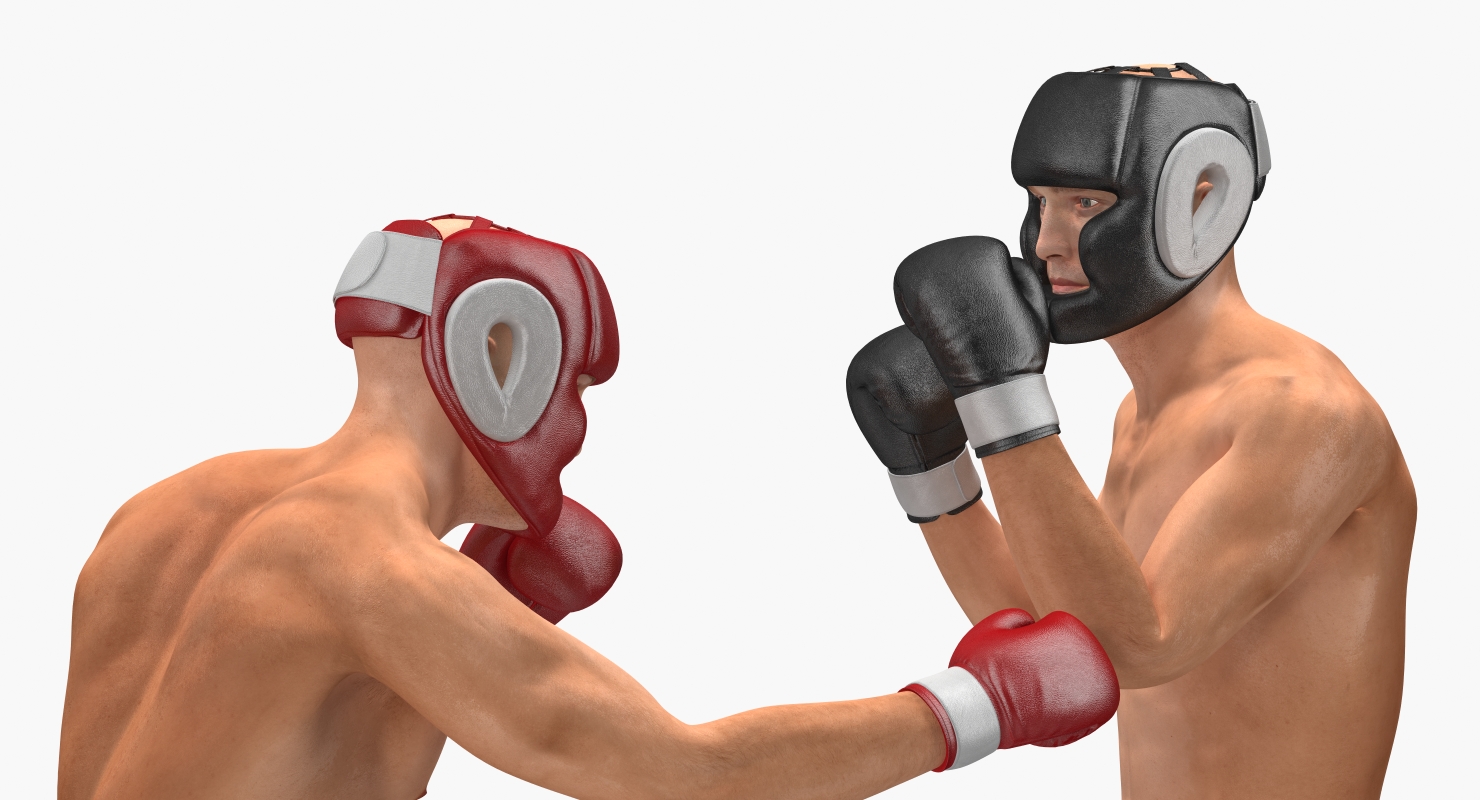 Two Boxers 2 3D