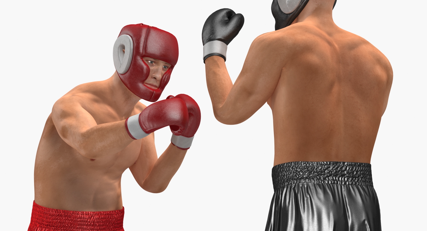 Two Boxers 2 3D