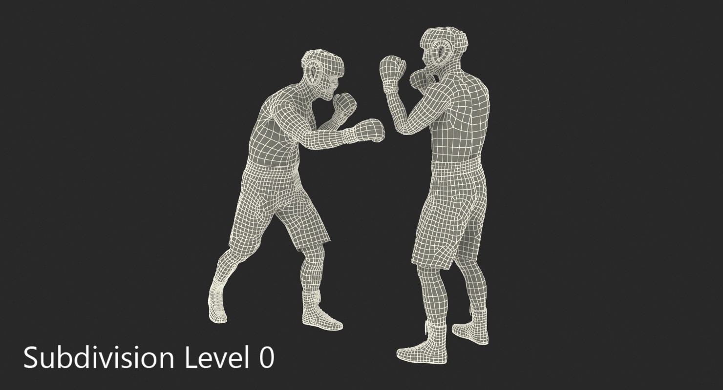 Two Boxers 2 3D