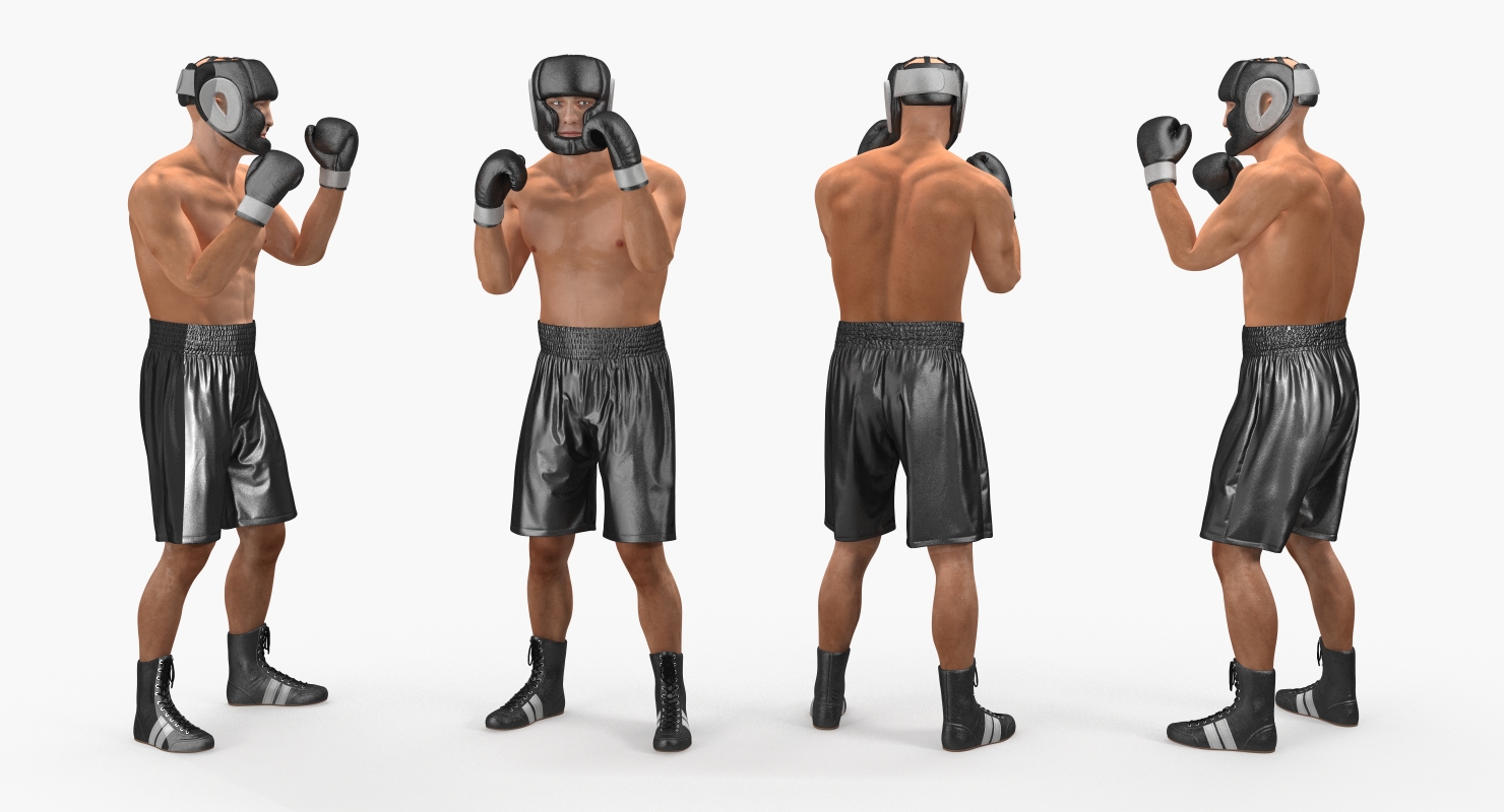 Two Boxers 2 3D