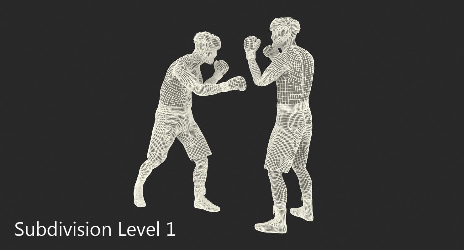 Two Boxers 2 3D