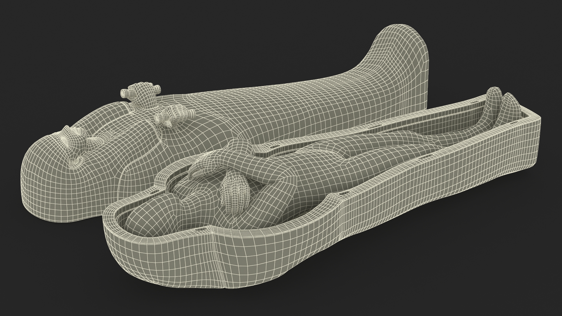 Mummy in the Sarcophagus 3D model